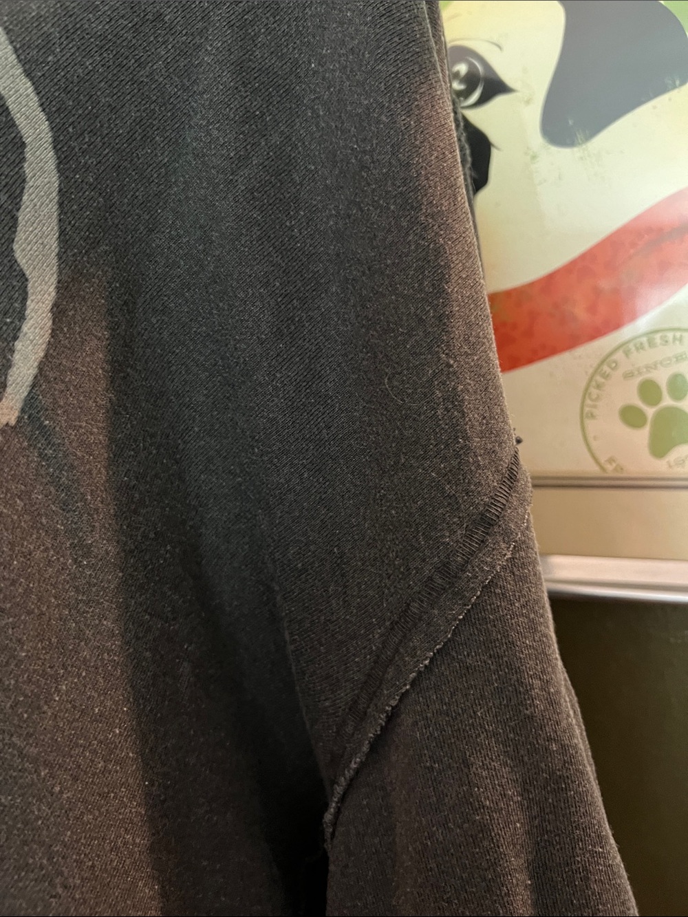 Free People We The Free GraphiPullover V neck Sweatshirt with Heart Bird Graphic - Picture 4 of 10